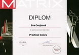 Diplom Matrix 1